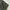 WORKPANTS DICKIES 874 OLIVE GREEN photo 4