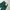 WORKPANTS DICKIES 874 LINCOLN GREEN  photo 4