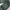 WORKPANTS DICKIES 874 LINCOLN GREEN  photo 6
