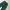 WORKPANTS DICKIES 874 LINCOLN GREEN  photo 3