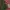Streetwear Sportswear Fleece Pria green photo 4