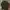 Streetwear Sportswear Fleece Pria Green