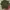 Streetwear Sportswear Fleece Pria green photo 3