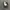 TOPI NIKE NYLON WHITE HAT CAPS photo 4