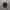 VEXX HAT CAPS BLCK  photo 1