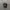 ADIDAS TRIFOIL HAT CAPS BLACK photo 1