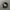 ADIDAS TRIFOIL HAT CAPS BLACK photo 4