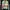 Adidas Casual Track jacket Wanita green photo 1