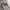 Dickies Streetwear Casual Jumper Pria white photo 2