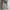 Dickies Streetwear Casual Jumper Pria white photo 1