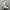 nike air max 97 photo 2