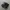 new balance 1906 photo 1