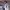 carat photo 3