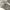 Engelbert Strauss Pants Mens Cargo Workwear