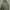 JACKET TACTICAL LIPNER photo 4