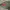JACKET TACTICAL LIPNER photo 5