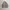 Adidas Originals X The Farm Mexkrumex Track Jacket Firebird photo 1