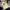 Bass pro shops hat trucker photo 3