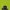 The North Face Minimalist Casual Bag Pria blue photo 1