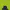 The North Face Minimalist Casual Bag Pria Blue