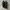 Sepatu Jil Sander Platform Canvas photo 5