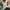 nb 327 photo 6