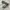 nb 1906 photo 1