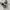 nb 1906 photo 4