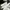 Sepatu Amiri Skel Leather Black White photo 4