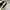 Sepatu Amiri Skel Leather Black White photo 7