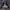 Volcom Work Jacket Canvas photo 2