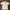 Uniqlo Polo shirt Pria white photo 1