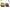 Sepatu Docmart Dr Martens Brogues Oxford Kulit Suede Hitam photo 6