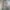 Fieldcore Casual Puffer jacket Pria tan photo 4