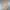 Fieldcore Casual Puffer jacket Pria tan photo 5