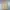 Fieldcore Casual Puffer jacket Pria tan photo 1