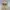 Fieldcore Casual Puffer jacket Pria tan photo 2