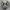 Nike Air Monarch IV White Black Red Original photo 2