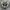 Nike Air Monarch IV White Black Red Original photo 1