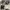 Converse Chuck Taylor 70 photo 1