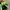 RARE Nike Initiator Neon Green Black Grey Original photo 6