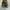 RARE Nike Initiator Neon Green Black Grey Original photo 4