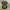 RARE Nike Initiator Neon Green Black Grey Original photo 5