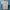 Pull & Bear Casual Leather jacket Pria white navy photo 2