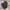Dickies Cellpocket Charcoal photo 1