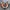 Nike M2K Tekno White Black Orange Blue Original photo 1