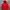Streetwear Hoody Pria Red