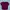 Woman’s Crop Top