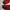 SWEATSHIRT HALFZIP NIKE AIR JORDAN FLIGHT photo 7