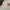 Kaos NIKE AS M NSW TEE FANTASY LBR GFX SUMMIT WHITE photo 3